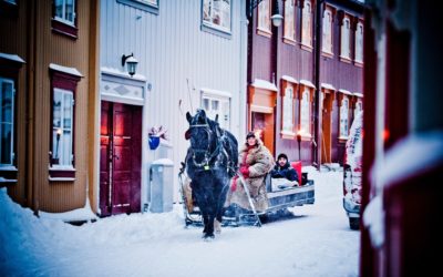 horse-and-sleigh-at-roros-flanderborg_foto_innovation-norway_thomas-rasmus-skaug
